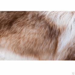 Soins de la peau et du pelage