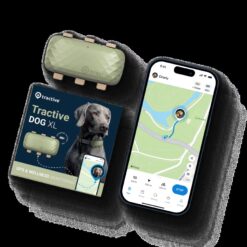 Traceur GPS Tractive pour chien XL