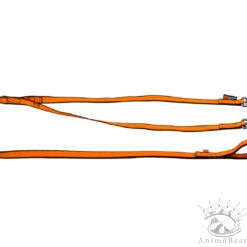Non-stop Bungee leash double