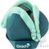 Coachi Puppy Chase & Treat