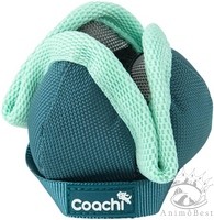 Coachi Puppy Chase & Treat