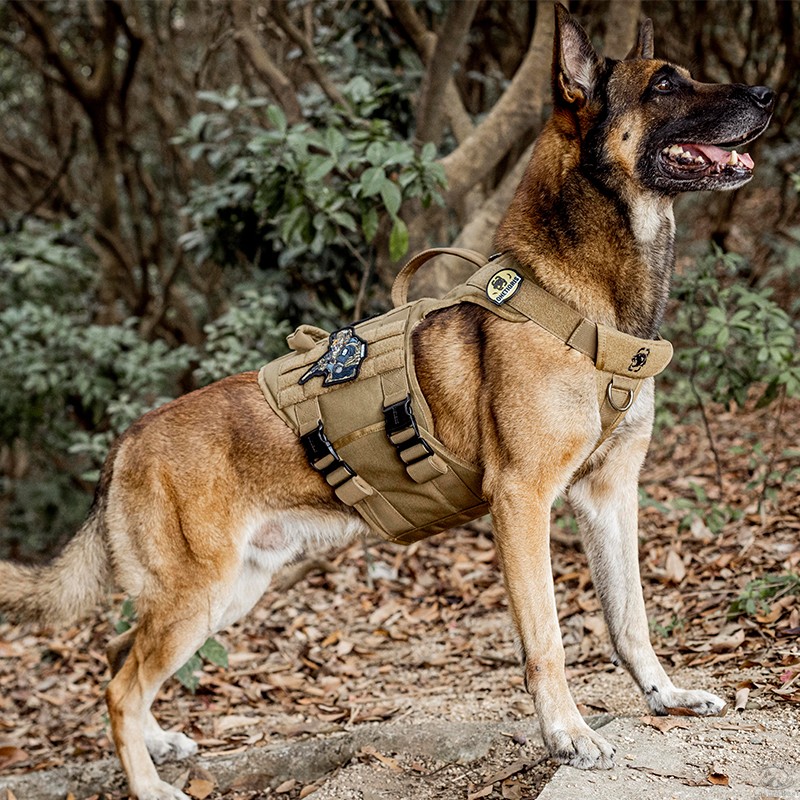 Harnais tactique OneTigris avec boucle entièrement en métal – Image 7
