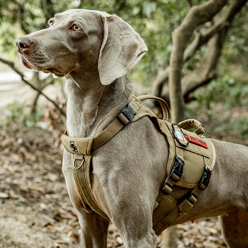 Harnais tactique OneTigris avec boucle entièrement en métal – Image 6