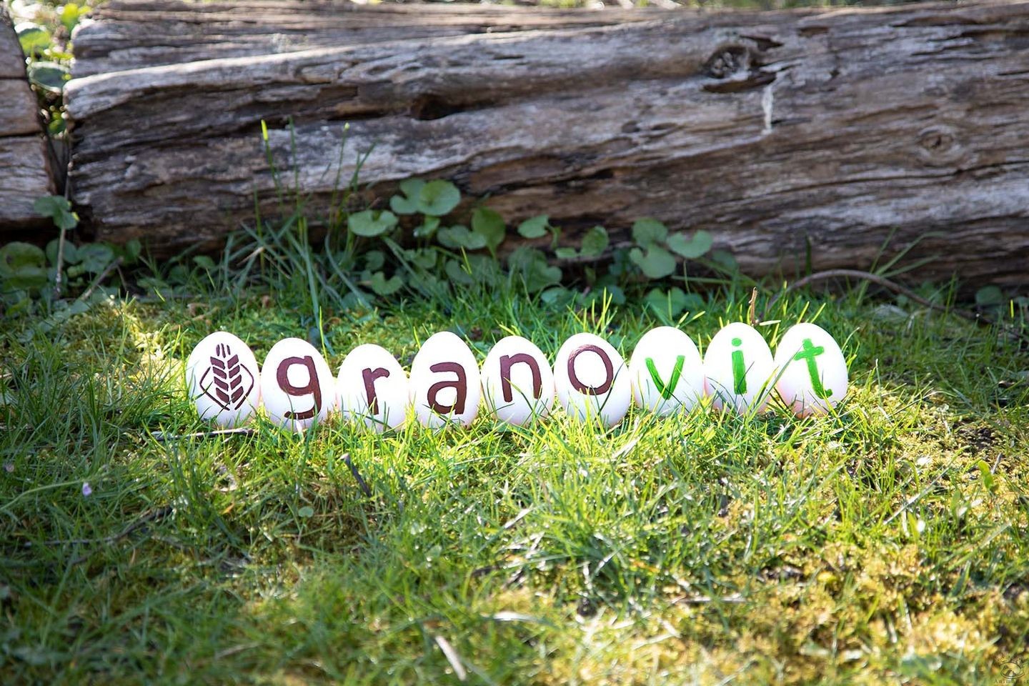 Aliment complet pour poules Golden Compact Miettes tamisées – Image 4