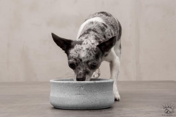 LABONI Gamelle élégante pour chiens et chats – Image 9