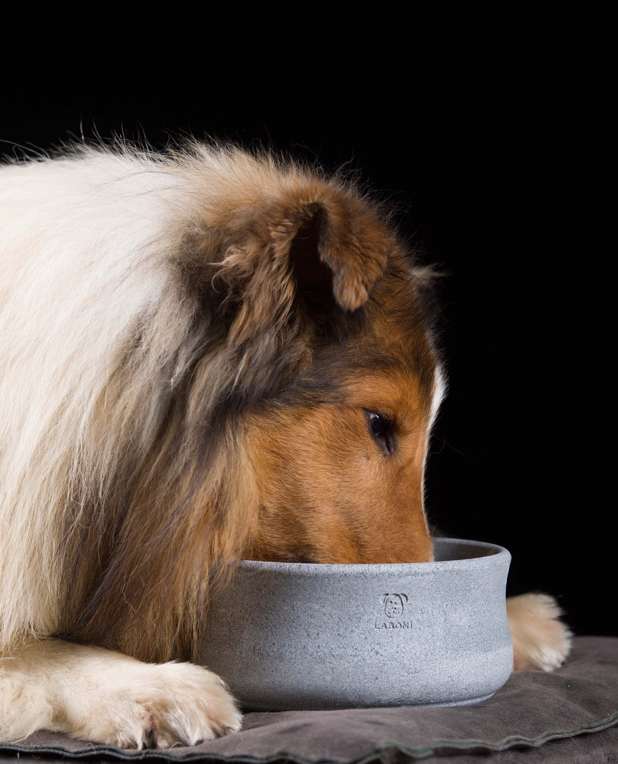 LABONI Gamelle élégante pour chiens et chats – Image 2