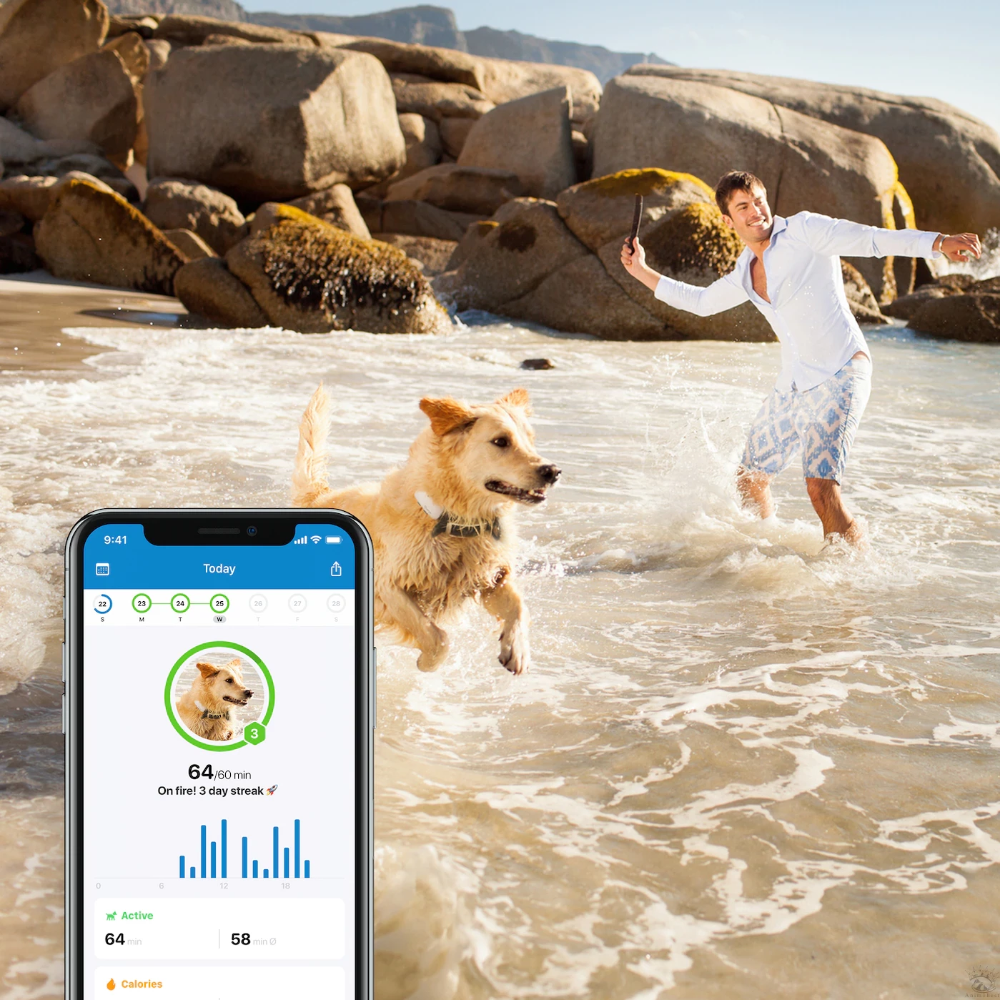 Traceur GPS Tractive pour chien – Image 7