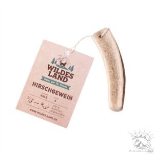 Bois de cerf coupé en deux