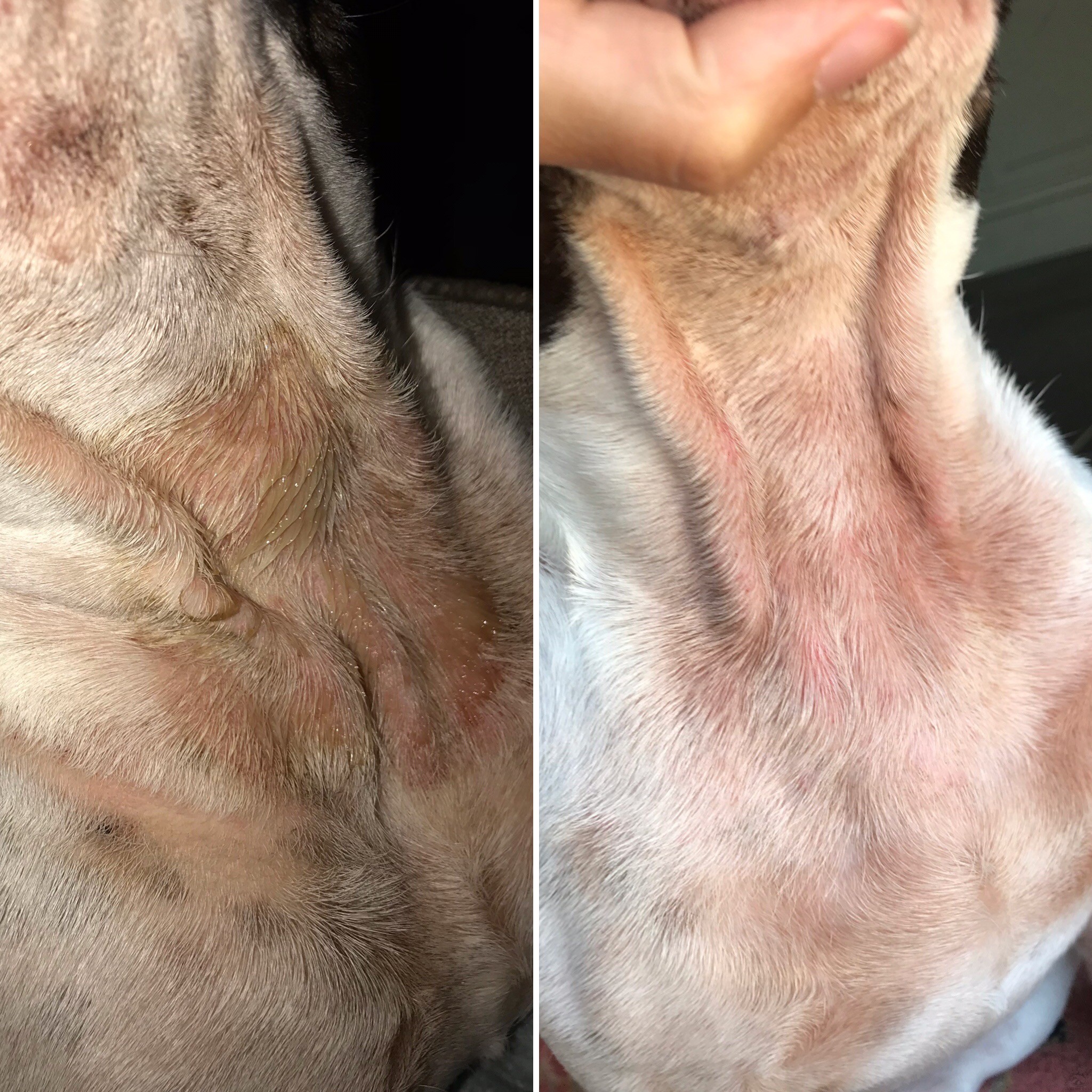 Baume Le Miraculeux – Image 3