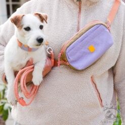 Alpha 360 Sac Banane