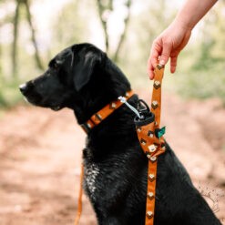 Sea to Summit Collier