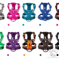 Harnais réfléchissant Truelove