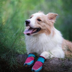 Truelove Explorer dog boots