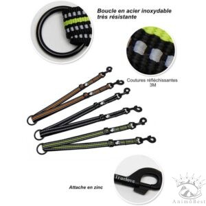 Accouplement de laisse Truelove pour 2 chiens