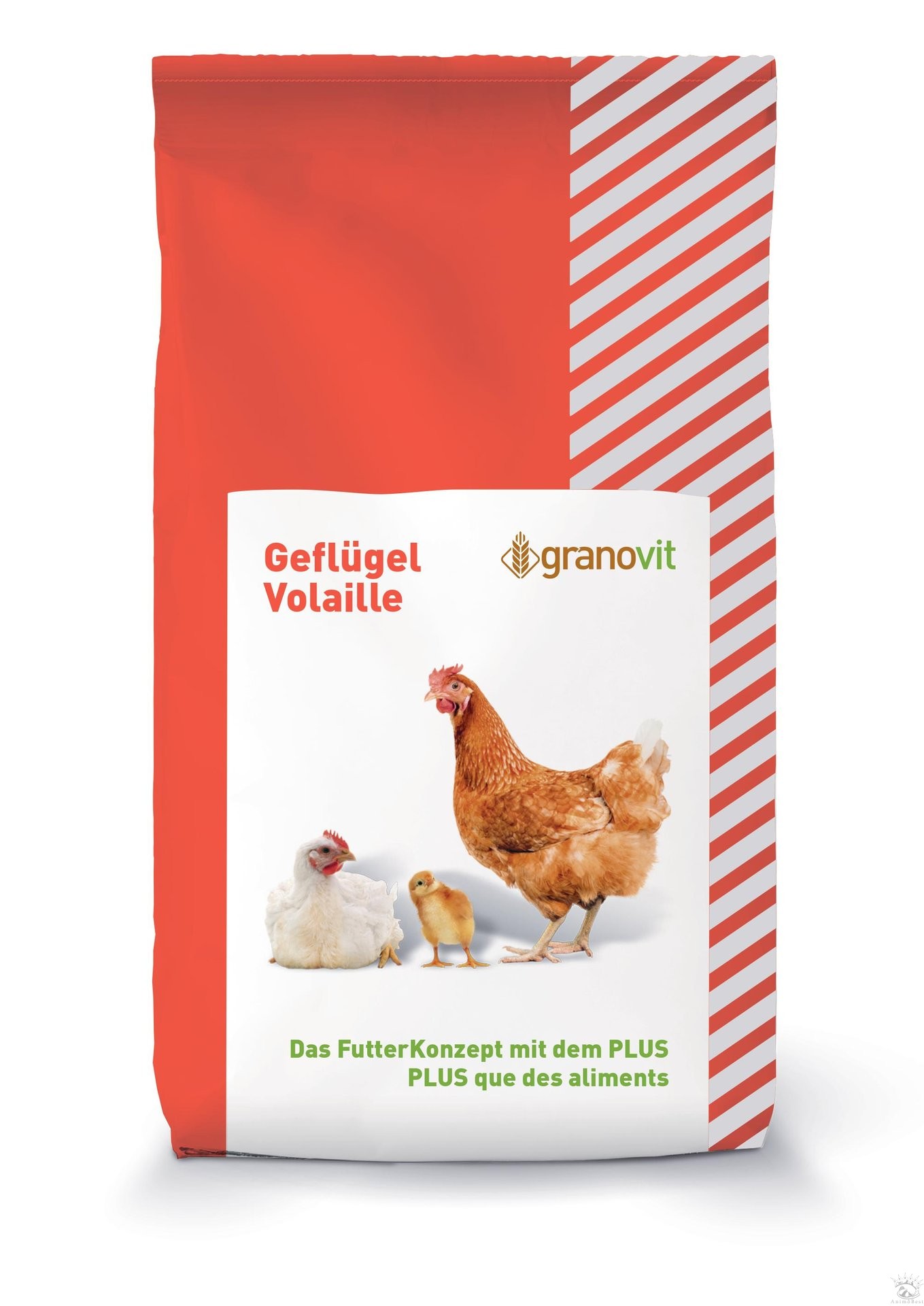 Aliment complet pour poules Golden Compact Miettes tamisées