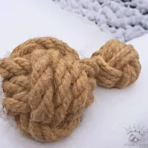 AninestEco - La Balle sans poignée pour chien