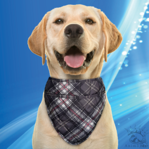 Aqua Coolkeeper bandana rafraîchissant