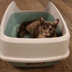 Bac litière Maryloo