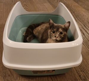 Bac litière Maryloo