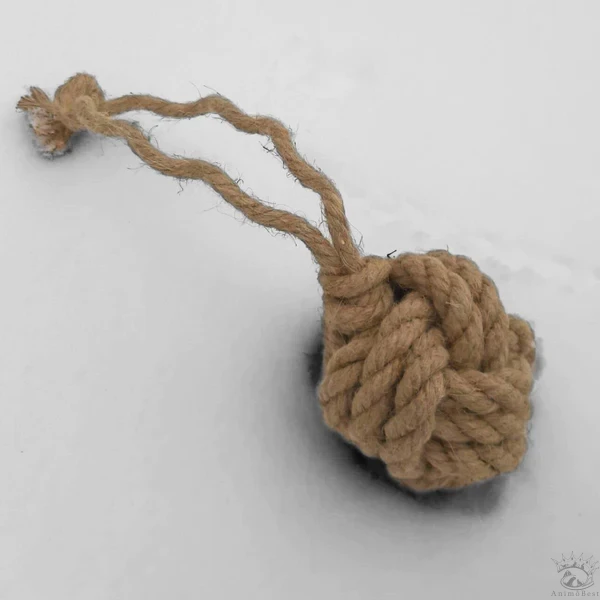 AninestEco - La Balle avec poignée pour chat – Image 2