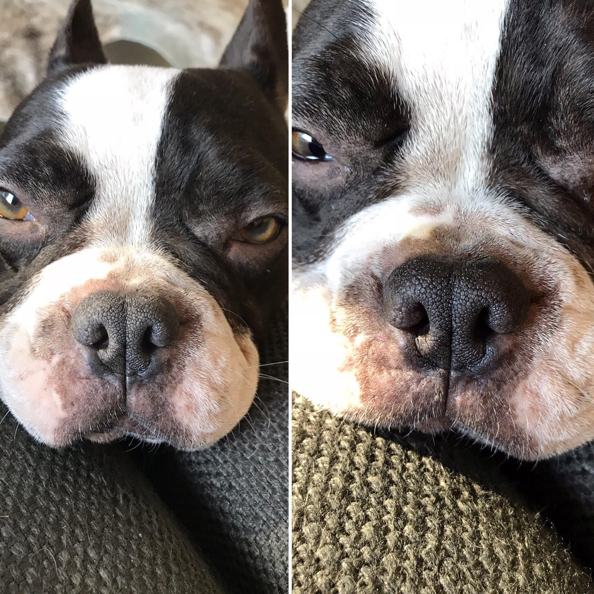 Baume Belle truffe – Image 2