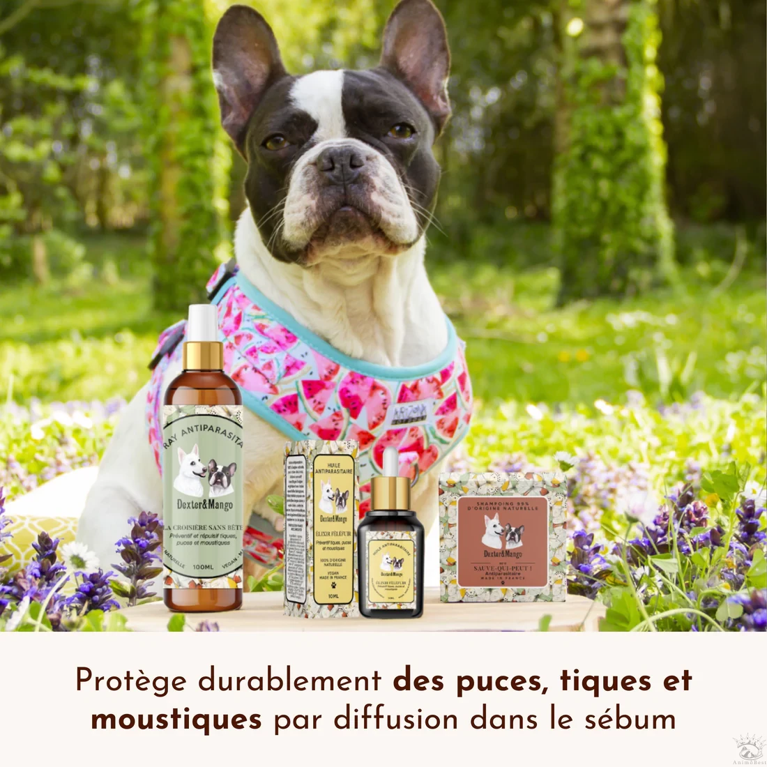 Élixir Fèléfuir, huile antiparasitaire – Image 4