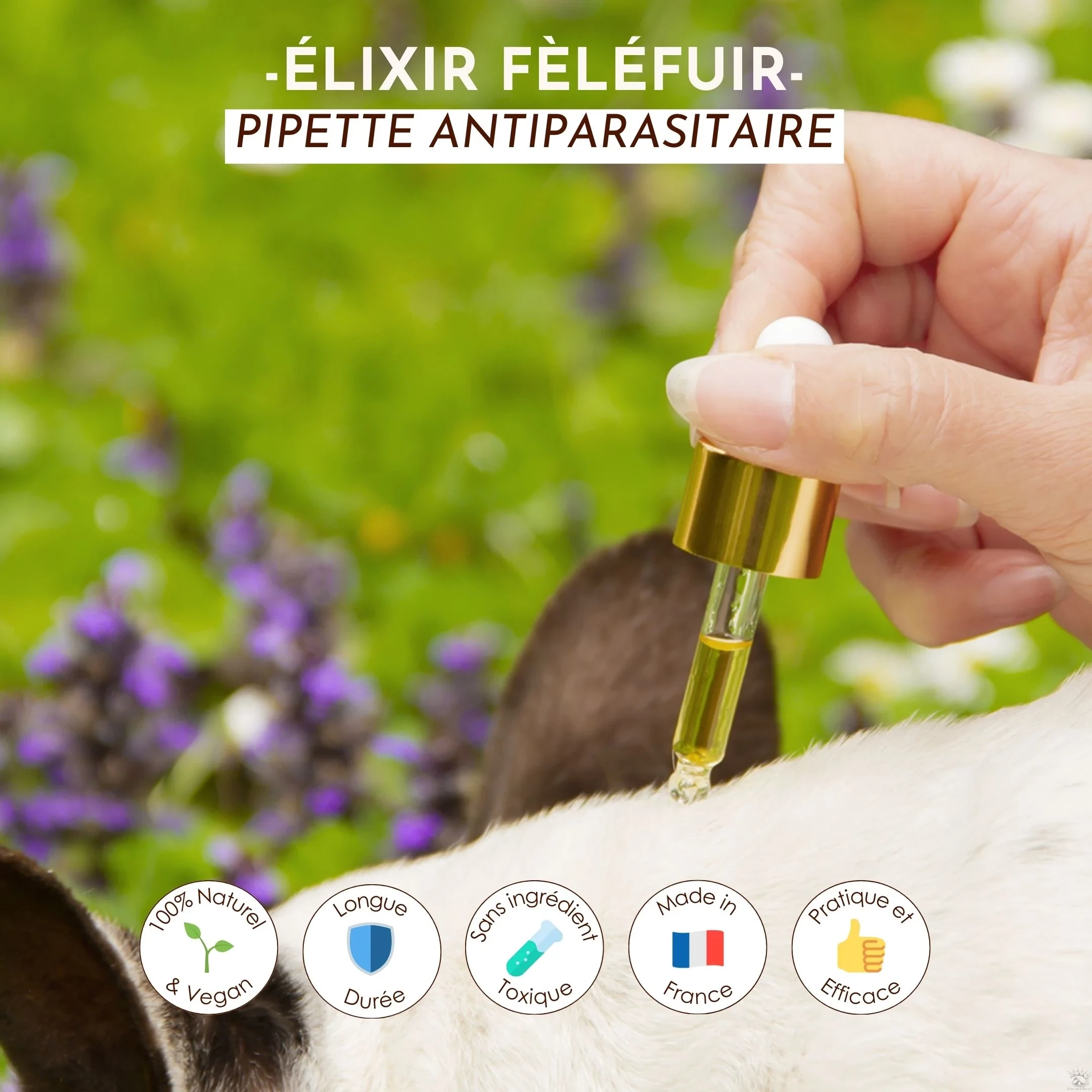 Élixir Fèléfuir, huile antiparasitaire – Image 2