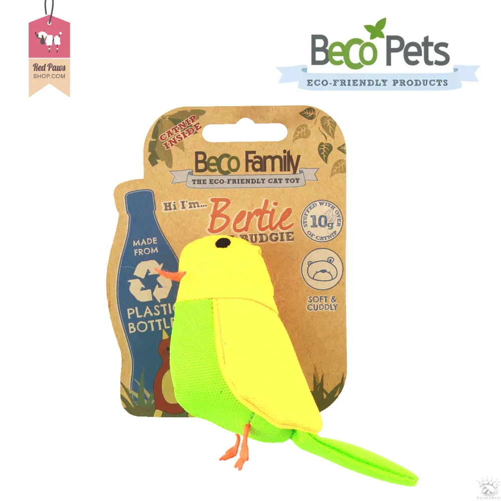 Beco Family – Image 4