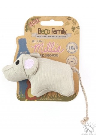 Beco Family – Image 2