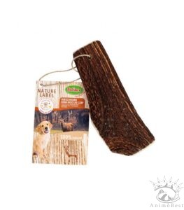 Bois de cerf coupé en deux