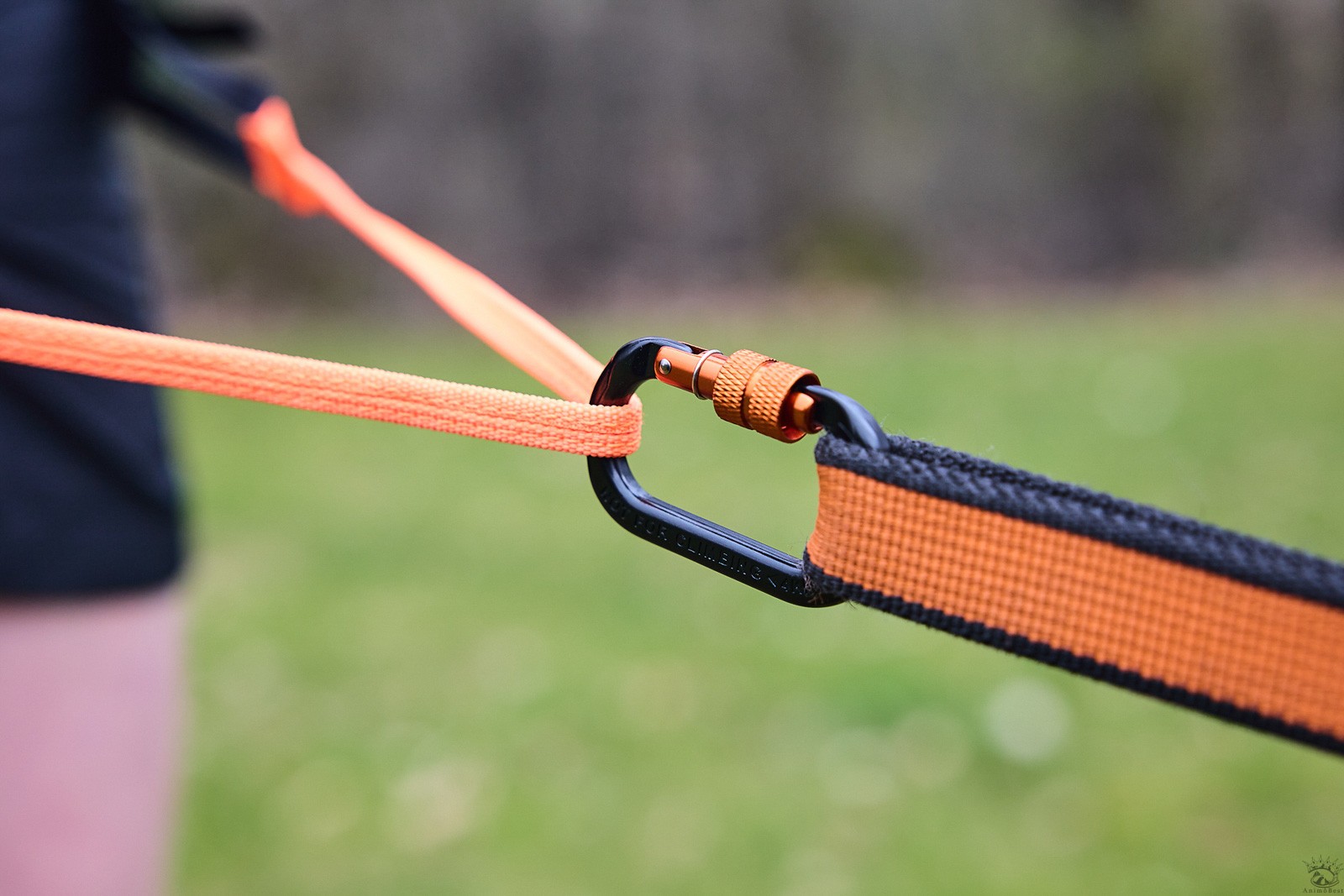 Non-stop Canix belt pro – Image 4