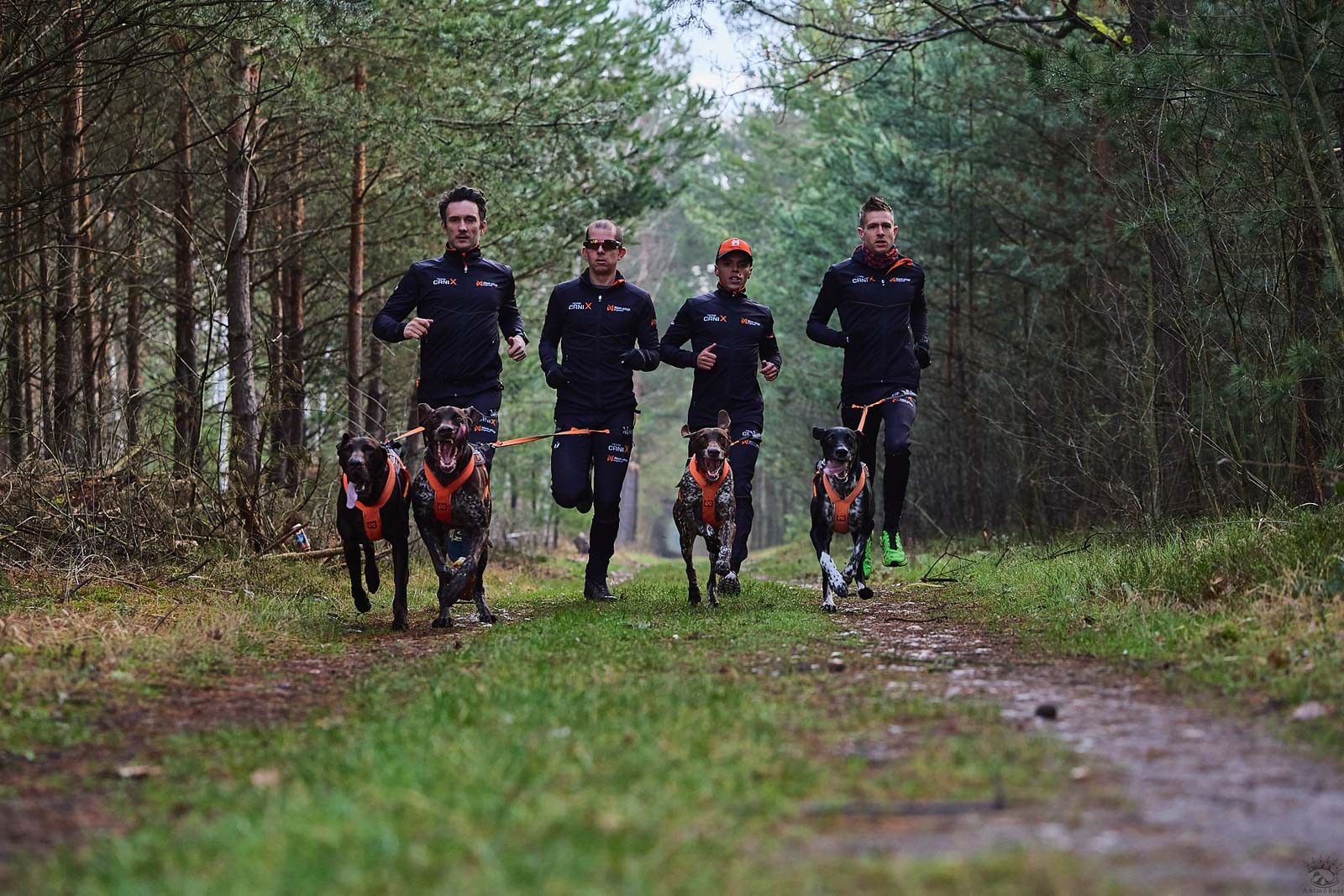 Non-stop Canix belt pro – Image 9