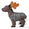 Canvas cerf