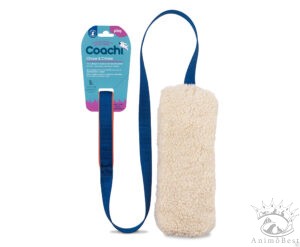 Chase & Crinkle de Coachi