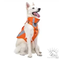 CHIP Safety Harness