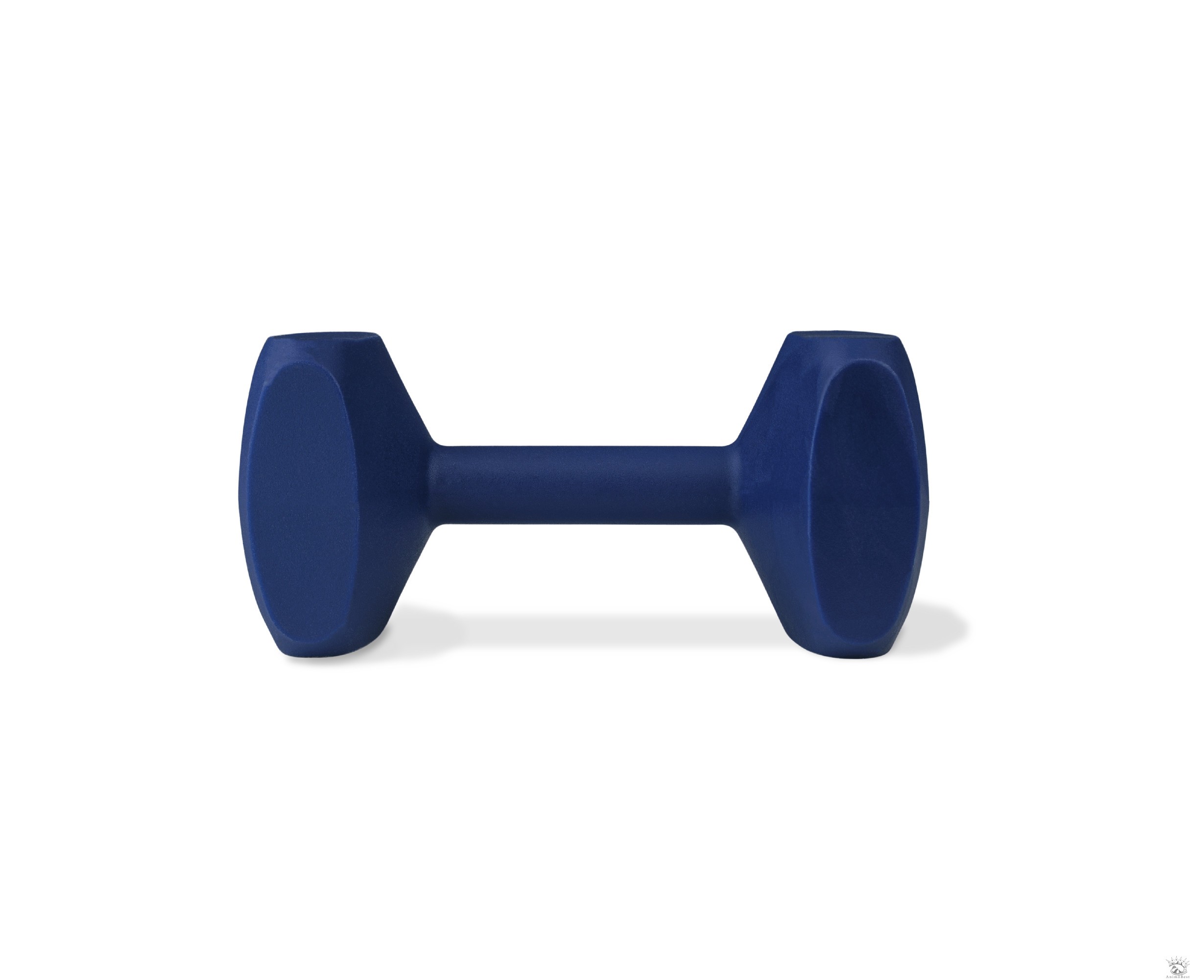 Coachi Training Dumbbell / haltère – Image 7