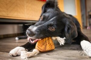 Cœur en bois d'olivier
