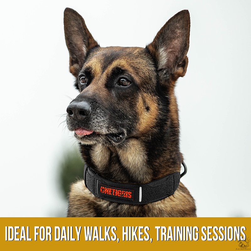 Collier en nylon et boucle métallique OneTigris X11 – Image 4