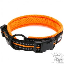 Collier Truelove Flex