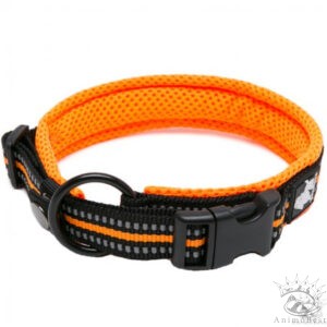 Collier Truelove Flex