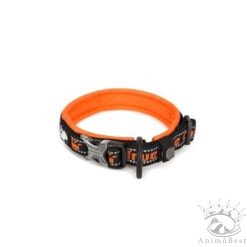 Location de collier pour chiens de moins de 11 mois