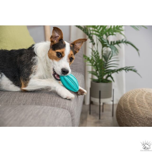 DENTAfun Baseball, menthe,en caoutchouc ø 6.5cm – Image 2