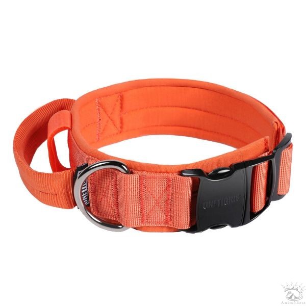 Collier pour chien en nylon et boucle métallique OneTigris – Image 6