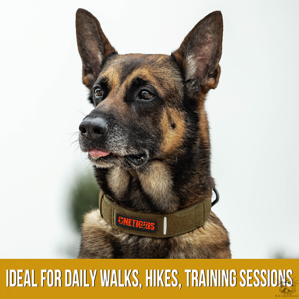 Collier en nylon et boucle métallique OneTigris X11 – Image 8