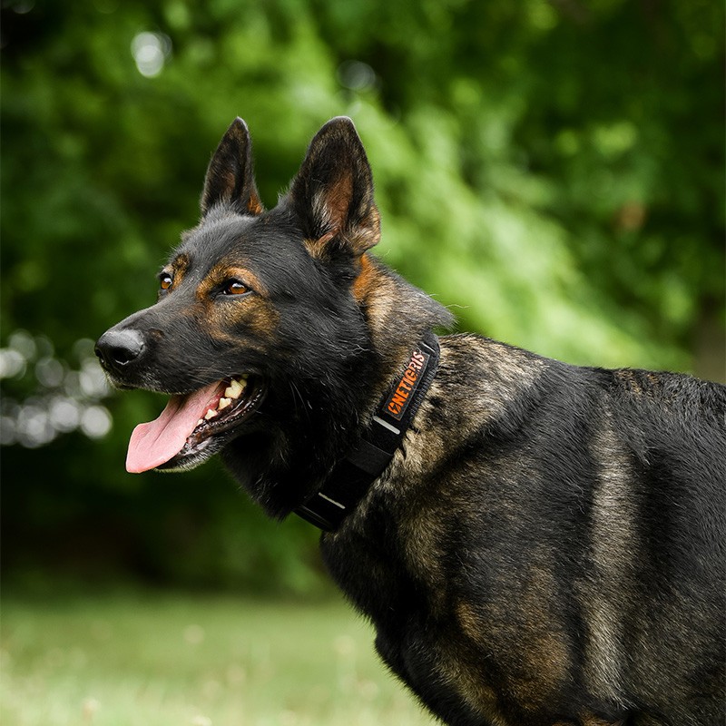 Collier en nylon et boucle métallique OneTigris X11 – Image 6