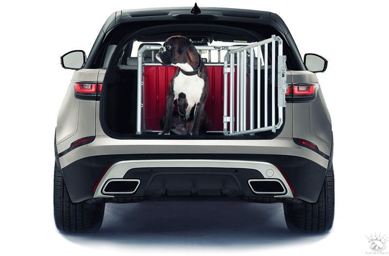 4pets CrashBag – Image 2