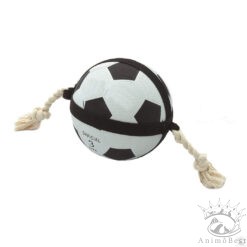 Action Ball ballon de foot / diam. 19cm