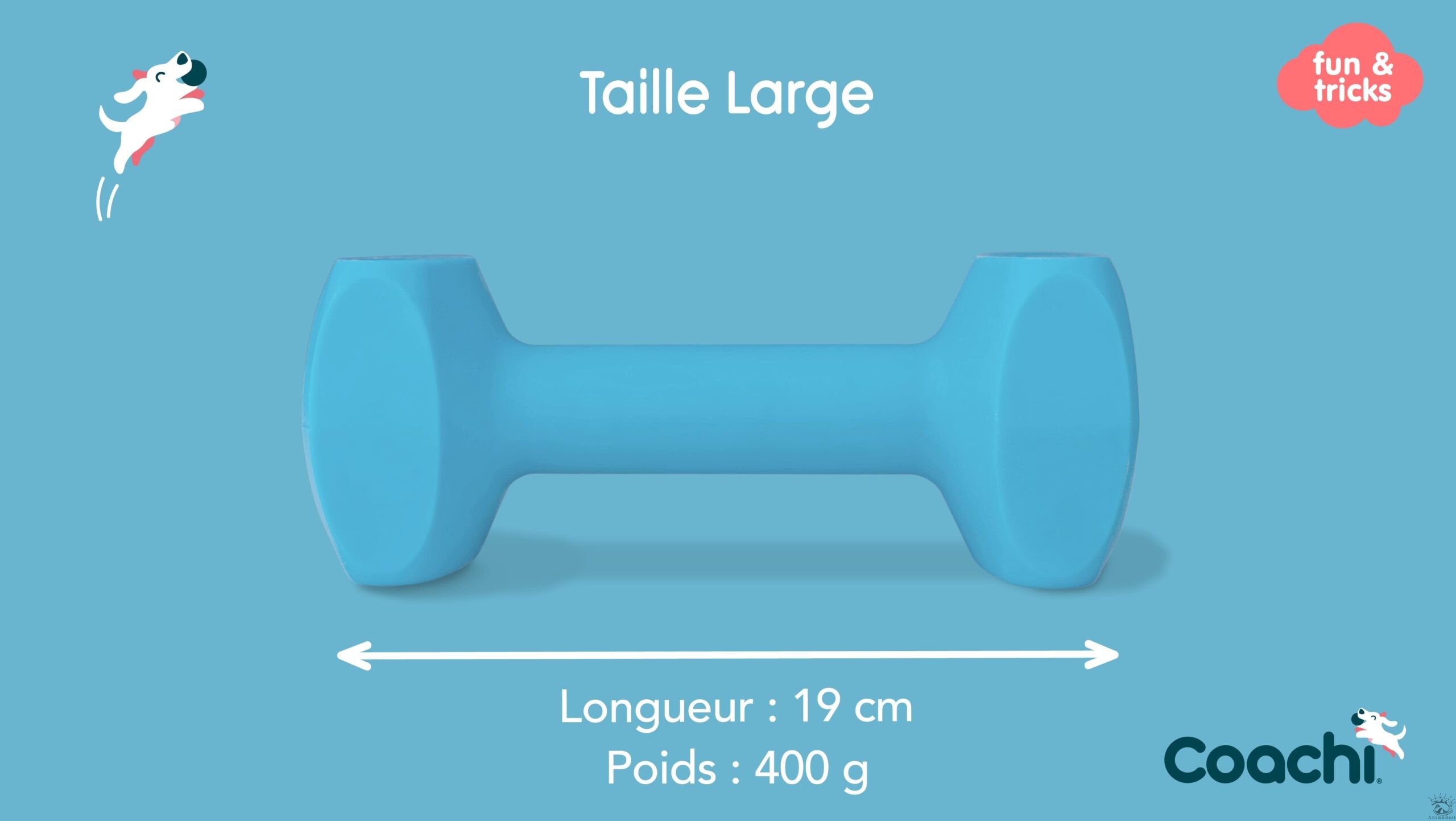 Coachi Training Dumbbell / haltère – Image 4