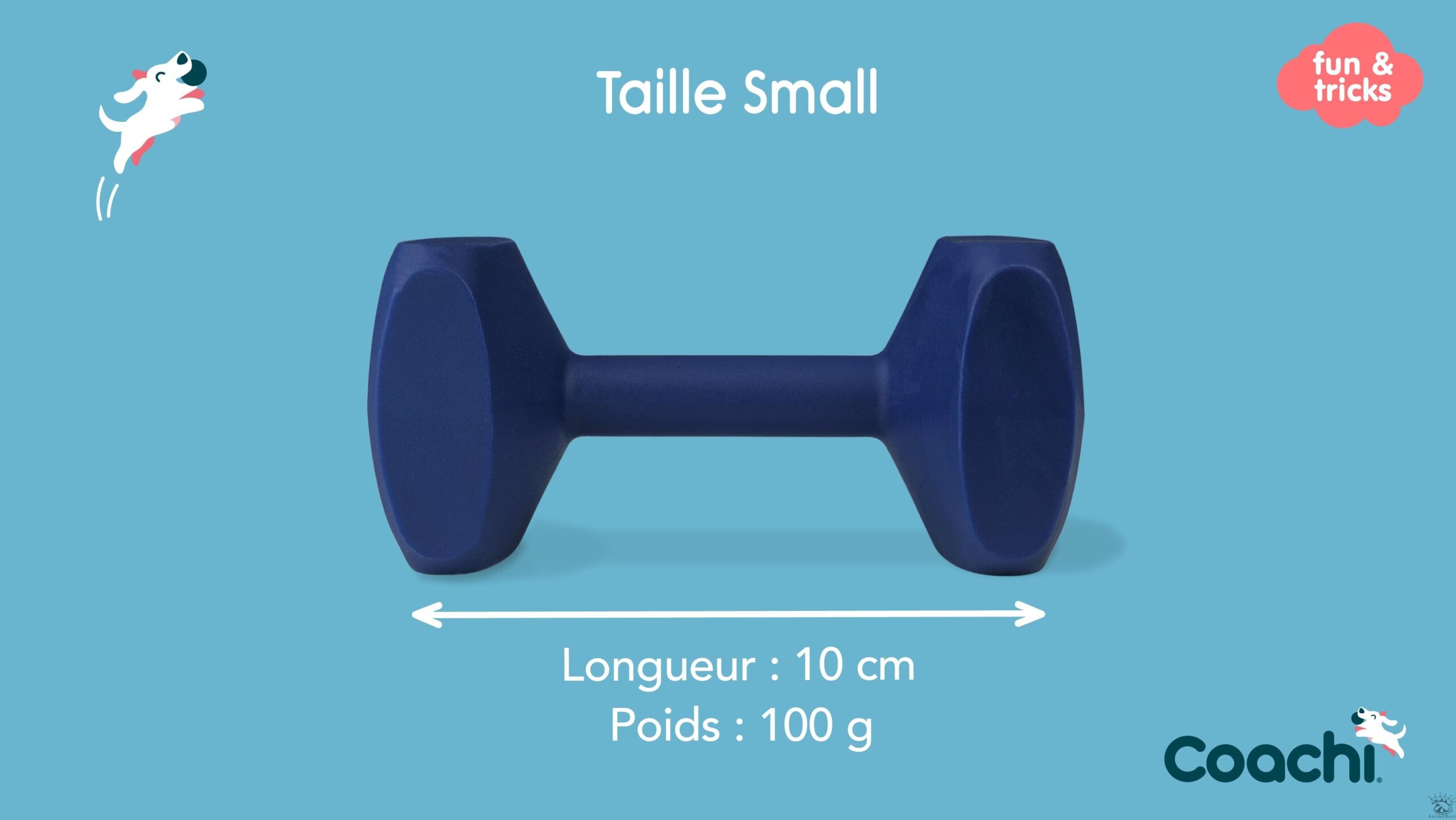 Coachi Training Dumbbell / haltère – Image 3