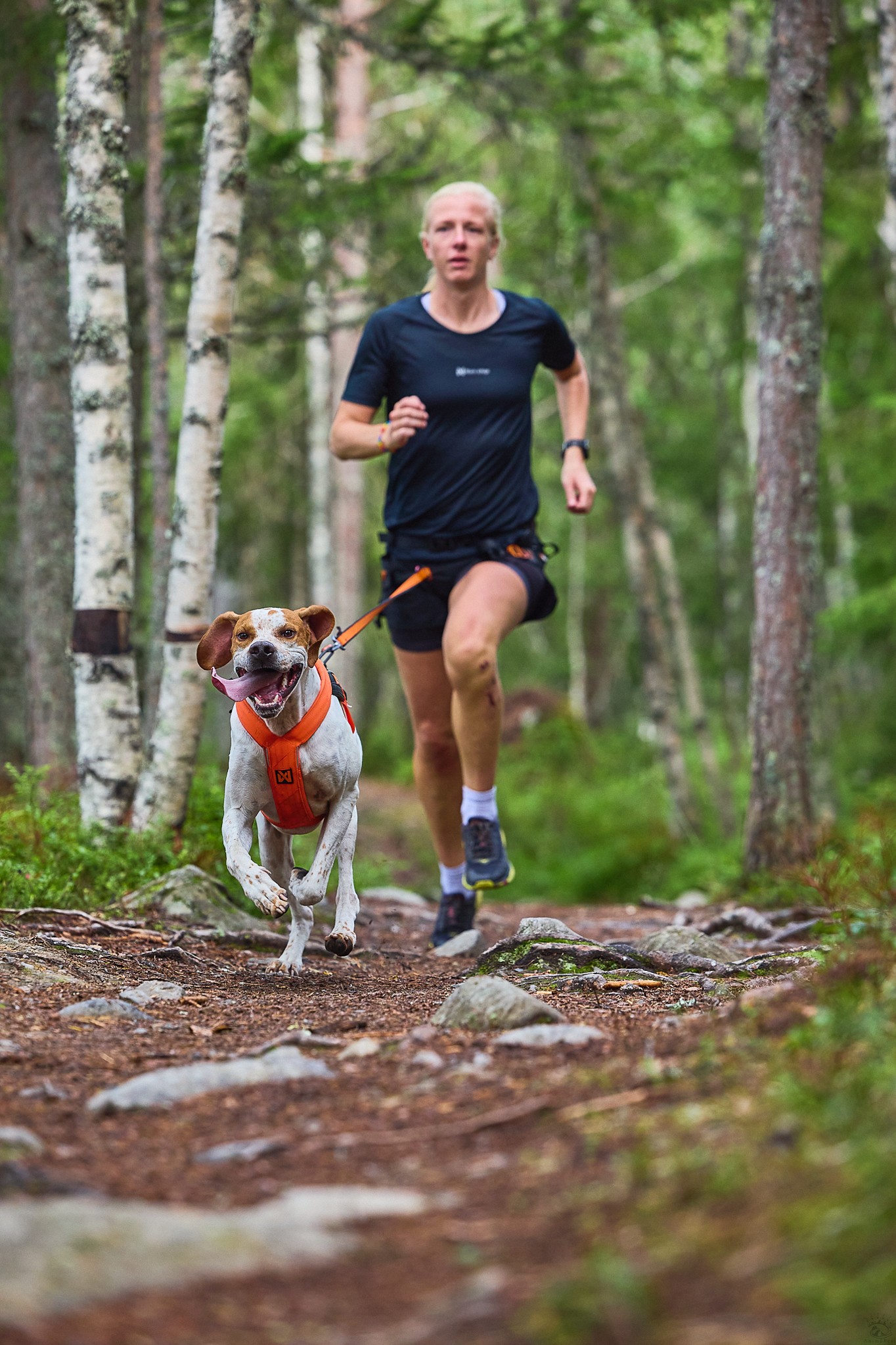 Non-stop Freemotion harness 5.0 – Image 14